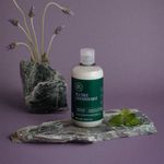 Paul Mitchell Tea Tree Lavender Mint - Condicionador 300ml