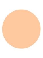 Shiseido UV Protective Compact Foundation Light Ivory - Protetor Solar Facial Compacto FPS 35 Refil 12g