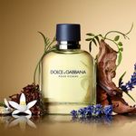 Dolce E Gabbana Pour Homme Eau de Toilette - Perfume Masculino