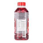 SOROX FRUTAS VERMELHAS 550ML 3