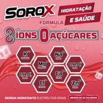 SOROX FRUTAS VERMELHAS 550ML 6