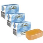 Sabonete Nevasca Glicerina 100G 3Un - Nevasca 1