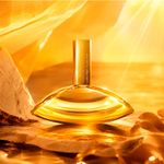 Calvin Klein Euphoria Solar Elixir Parfum Intense - Perfume Feminino 50ml