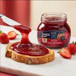 Geleia de Frutas Vermelhas Zero Açúcar 230g Linea 2