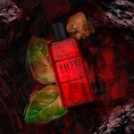 Davidoff Hot Water Eau de Toilette - Perfume Masculino 110ml