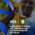 Chocolate ao Leite com Amendoim Shot 80g Lacta 6