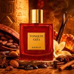 Rayhaan Tonquin Giza Eau de Parfum - Perfume Unissex 100ml