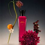 Adolfo Dominguez Dalia Absoluta Elixir Parfum - Perfume Feminino 100ml