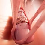 Perfume Yara Elixir Eau de Parfum Feminino Lattafa 100ml