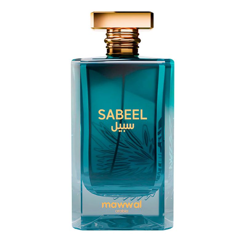 100ml