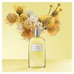 Perfume Azahar Radiante Nº 1 Eau de Toilette Feminino Victorio & Lucchino 150ml