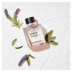 Perfume Power of Seduction Eau de Toilette Masculino Banderas 100ml