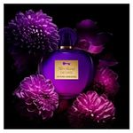 Perfume Her Secret Desire Eau De Toilette Feminino Banderas 50ml