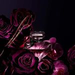 Perfume La Nuit Tresor Eau De Parfum Feminino Lancome 50ml