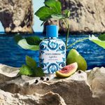 Perfume Light Blue Capri In Love Eau de Parfum Masculino Dolce & Gabbana 100ml