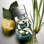 Perfume Michael Kors Pour Homme Eau de Parfum Masculino 50ml