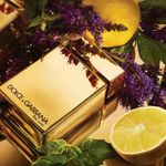 Perfume The One Gold Intense Eau De Parfum Masculino Dolce & Gabbana 100ml