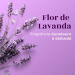 Desodorante Antitranspirante Aerossol Feminino 150ml Flor de Lavanda Monange