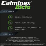 CALMINEX DICLO AERO 85ML 4