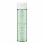 Shampoo Fortificante Antiqueda Amend Essencial 250ml