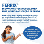 Kit C/2 Ferrix UVA 30ml Infantil Suplemento de Ferro Sabor  - Flora Nativa