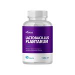 Lactobacilos Plantarum 1 bilhão UFC - 60 Cápsulas